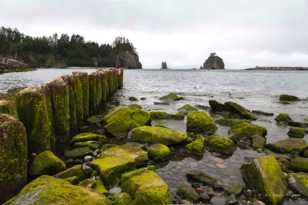 La Push harbor-7213.jpg